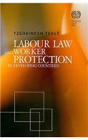 Labour Law and Worker Protection in Developing Countries