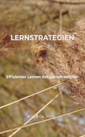 Lernstrategien: Effizienter Lernen mit Lernstrategien