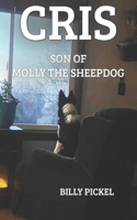 Cris...Son of Molly the Sheepdog