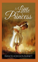 A Little Princess Illustrated