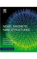 Novel Magnetic Nanostructures