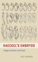 Haeckel's Embryos