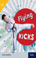 Bookroom Pack Grade 3: Flying Kicks