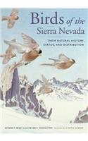 Birds of the Sierra Nevada