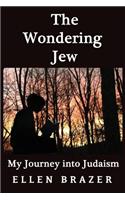 Wondering Jew My Journey into Judaism