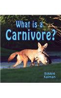 What Is a Carnivore?