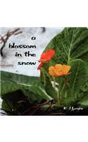 Blossom in the Snow