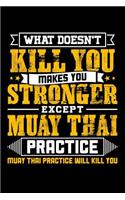 What doesn't kill you makes you stronger except Muay Thai practice Muay Thai practice will kill you