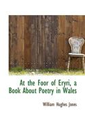At the Foor of Eryri, a Book about Poetry in Wales