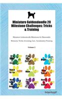 Miniature Goldendoodle 20 Milestone Challenges