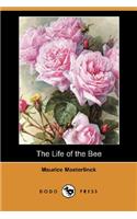 The Life of the Bee (Dodo Press)