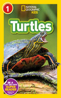 Turtles (National Geographic Kids Readers, Level 1): (National Geographic Kids Readers)