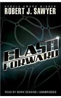 Flashforward Lib/E: Library Edition