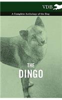 The Dingo - A Complete Anthology of the Dog -: (English)