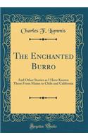 The Enchanted Burro
