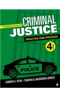 Introduction to Criminal Justice