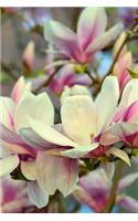 Pink and White Magnolia Tree Flower Bloom Journal: Take Notes, Write Down Memories in this 150 Page Lined Journal