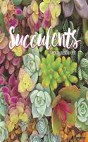 Succulents 2020 Wall Calendar
