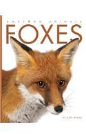 Foxes: (Amazing Animals)