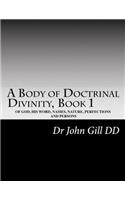 A Body Of Doctrinal Divinity, Book I