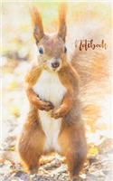Cute squirrel notebook to write in, 120 pages lined 5"x8"
