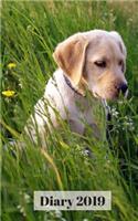 Diary 2019
