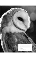 Owl Composition Notebook