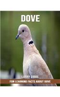 Fun Learning Facts about Dove