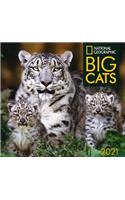 Cal 2021- National Geographic Big Cats Wall