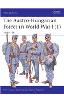 Austro-Hungarian Forces in World War I (1)