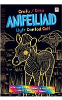 Llyfr Canfod Celf: Crafu/Creu Anifeiliaid