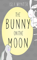 Bunny on the Moon