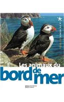 Les Animaux Du Bord de Mer: (2919942 La Vie Secrete Des Betes)