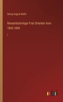 Reseanteckningar Fran Orienten Aren 1843-1849