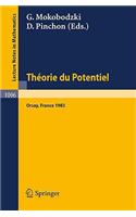 Theorie Du Potentiel