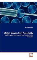 Strain Driven Self Assembly