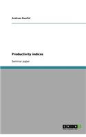 Productivity indices