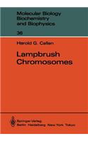 Lampbrush Chromosomes
