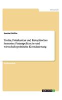 Troika, Fiskalunion und Europäisches Semester. Finanzpolitische und wirtschaftspolitische Koordinierung