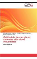 Calidad de la energía en sistemas eléctricos industriales