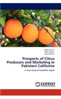 Prospects of Citrus Producers and Marketing in Pakistani California