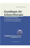 Grundlagen Der Schmerztherapie: Curriculum Spezielle Schmerztherapie Des Schmerztherapeutischen Kolloquiums E.V. Nach Dem Kursbuch Der Bundesarztekammer