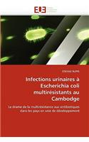 Infections Urinaires À Escherichia Coli Multirésistants Au Cambodge