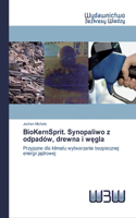 BioKernSprit. Synopaliwo z odpadów, drewna i węgla