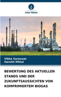 Bewertung Des Aktuellen Stands Und Der Zukunftsaussichten Von Komprimiertem Biogas