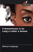 femminismo in So Long a Letter e Anowa
