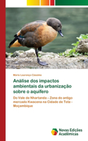 Análise dos impactos ambientais da urbanização sobre o aquífero