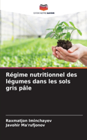 Régime nutritionnel des légumes dans les sols gris pâle