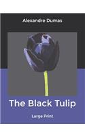 The Black Tulip: Large Print