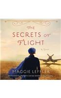 The Secrets of Flight